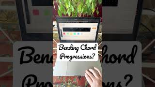 Chord Progressions Pitch Bending 🧐 MPE power!