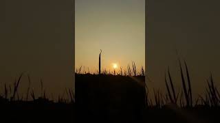 Golden Hours #sunset #photography #video #youtube #ayvlog #bihar #trend #shortvideo #1million #vlog