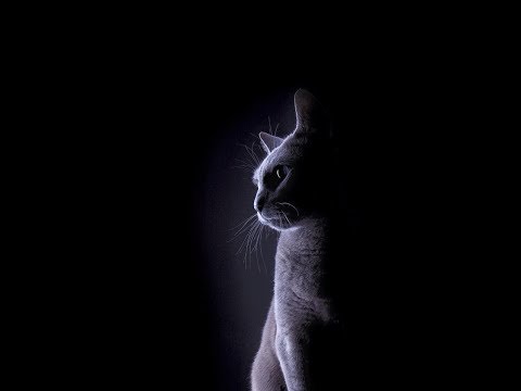 紅吱吱  【仙境傳說】起源