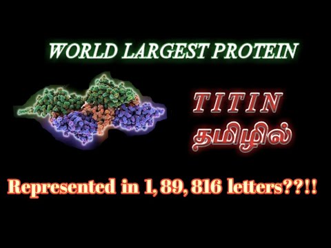 TITIN/TITIN IN TAMIL/டிடின்/TITIN HISTORY IN TAMIL/DETAILS OF TITIN IN TAMIL/TITIN PROTEIN IN TAMIL