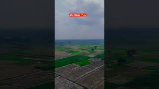 my village drone shoot 🌳🌲🌎🏫#techtoys #shorts #dronephotography #bhojpuri