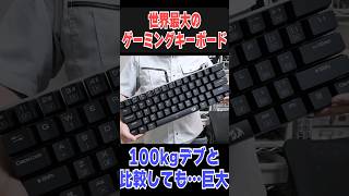 【4万円】世界一デカイ「ゲーミングキーボード」が凄い！【動作可能】