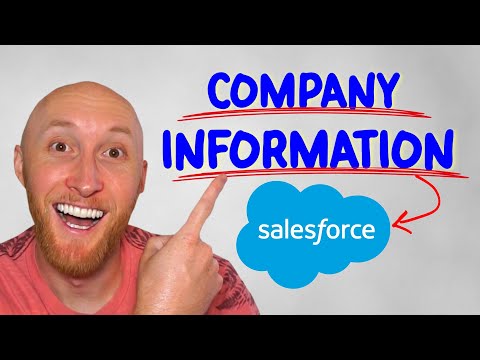 What is in Company Information in Salesforce Setup?