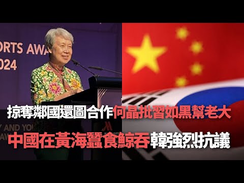 【洞察中國】掠奪鄰國還圖合作 何晶批習如黑幫老大／中國在黃海蠶食鯨吞  韓強烈抗議