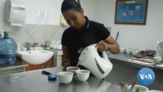 Panama's Geisha Coffee Fetches $100 a Cup | VOANews