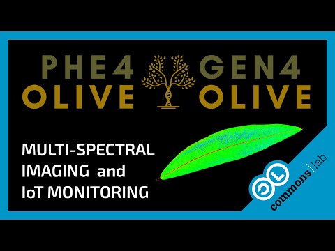 PHE4OLIVE Project Overview