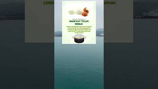 Makan Putih Telur Rebus Tiap Hari? Lihat Hasilnya! #putihtelur #viral  #tipsdiet #shorts