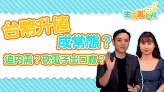 【生活啾C股】ep18 台幣升值成常態？ 追內需？砍電子出口廠？｜Christine｜黃紫東｜GMoney
