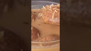 #sujirmisti #sujipitha #viralreela #cooking #2024 #subscribe