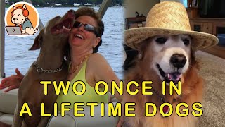 E02 Gloria and her two once in a lifetime dogs