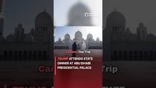 Trump Attends State Dinner at Abu Dhabi Presidential Palace #worldnews #news