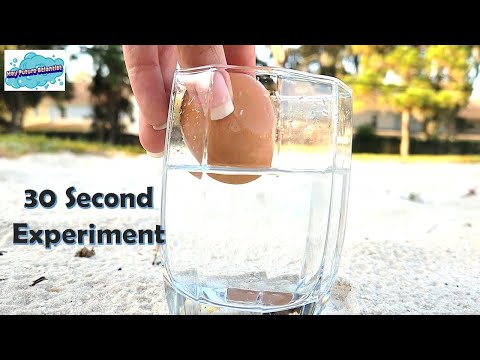 How to make a Rubber Egg | Bouncy Egg
