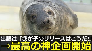 アザラシ幼稚園、出版社が〇〇譲渡の神企画を始めてしまう
