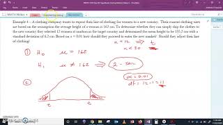 Hypothesis Testing Small Sample Size Example 4