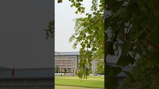 Zhengzhou University Administrative Building #zzu #zhengzhou_university #zhengzhou #bestcampus