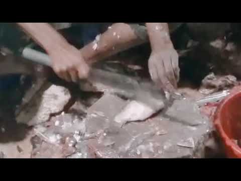 Learn Skill Fish cutting. How to cut for cook fish..