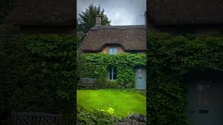 So calm 💚🌿#naturemood #beautiful #peaceful #moodvibes #foryou #shorts #music