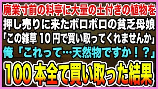 【感動する話】廃業寸前の料亭に大量の土付き植物を押し売りに来たボロボロの貧乏母娘「この雑草10円で買い取ってくれませんか」俺「この植物はまさか…！」→100本全て買い取った結果【泣ける話・朗読】