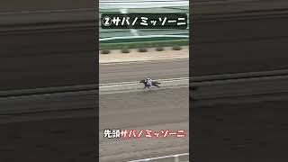 【競馬】おもしろい馬名集めてみた③ #shorts
