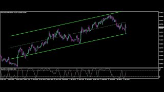trader lifestyle best indicator Indicator Gives PERFECT BuySell Signals mt4