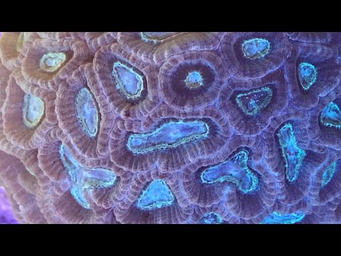 Under sand bed filter pt2