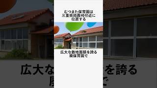 むつまた保育園に関する面白い雑学 #フィクション