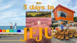 5 days in Jeju 🇰🇷 濟州 (local must-eat, aesthetic villa, cute cafes) | jeju trip