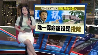 泰缅边境电诈骗园区难根除   知情人士：有钱才是王道 金主黑白通吃｜新闻报报看 16/01/2025