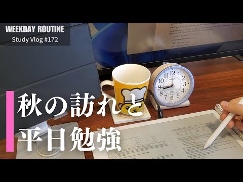 秋の訪れと平日勉強【社会人勉強Vlog #172】