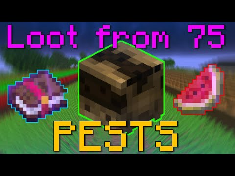 Loot from 75 Pests (Hypixel Skyblock)