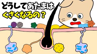 【アニメ 絵本読み聞かせ】頭を洗うのが嫌いな子どもの絵本〜どうして頭は臭くなるの？〜