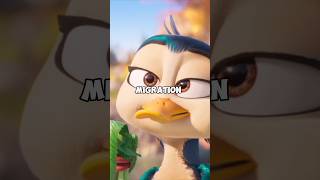 Did You Notice These 3 Things In the Migration Movie...