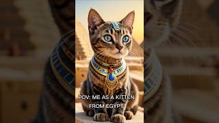 Pov: Me As A Kitten From Egypt #capcut #ai #aifilter #aifilters #viral #trending #shortsviral