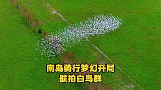 骑行新西兰南岛梦幻开局，雨季道路被封，公路边露营实现海参自由