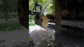 Little machine, BIG power 💪🏻 #arboristing #treecare #machine #wood #equipment #fyp