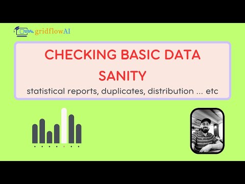 Numeric Insights: Basic sanity check for Data Analysis