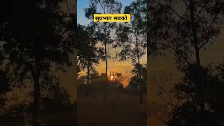 Good morning vibes #yt #youtubeshorts #trending #viralvideo #shortfeed #tubeshortvideo