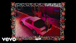 Cuco - Seems So (Visualizer)