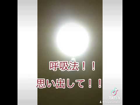さいかつ！！ #一発ギャグ #おもしろ