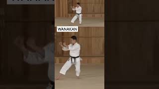 Wankan 王冠 #shotokan #karate #kata