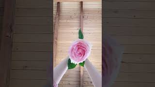 #momhacks #momtips #momtipsandtricks #helpfultips #roses #gardeninghacks #gardeningtips #hacks