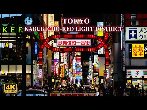Kabukicho Red Light District | Tokyo Shinjuku | Japan | 100 Landscapes of Japan | 4K HD 60fps Video