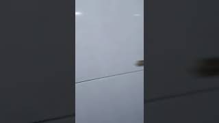 ERR10 #shorts #dumbwaiter#viralvideo #buhayofw