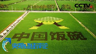 中国饭碗里的种子力量「央视财经评论」20221003 | CCTV财经