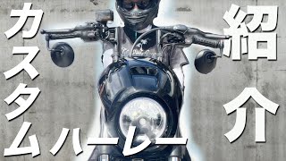 【カスタム&納車】ハーレーダビッドソン ナイトスタースペシャルを納車前にカスタムしていく！