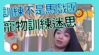 有問題的狗才訓練？不是馬戲團表演！ 寵物訓練迷思與誤解 | Happy&小愛