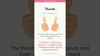 Thumb | der Daumen 📖✨ Learn German with Me: Medical Vocabulary #germanmedicalterms