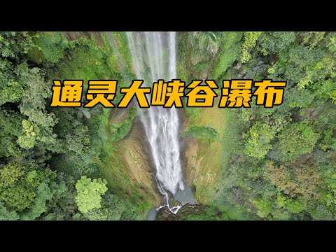 广西百色通灵大峡谷，西南落差最高的瀑布之一，实在太壮观了