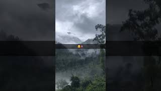 #wowvideos