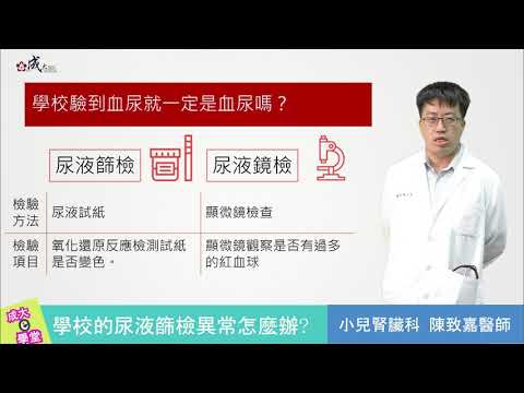 【成大醫院】成大e學堂 學校的尿液篩檢異常怎麼辦？小兒部 陳致嘉醫師